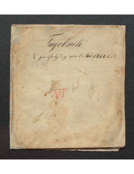 Tagebuch VI 1848 -1849