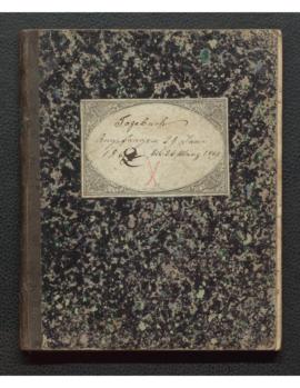 Tagebuch X 1862-1869