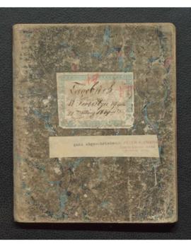 Tagebuch VII 1849-1951