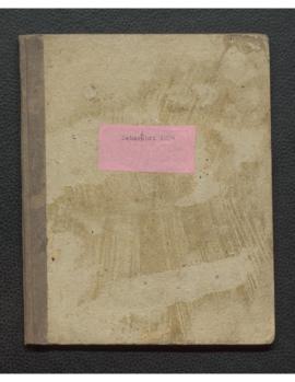 Tagebuch Überfahrt 1874