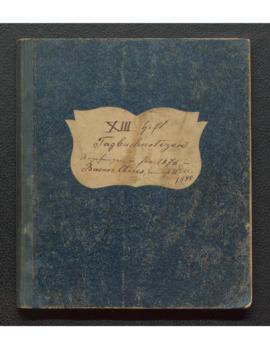 Tagebuch XIII 1876-1880